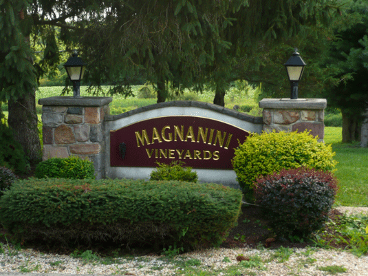 hudson valley wine tour magnanini-italian-vineyard